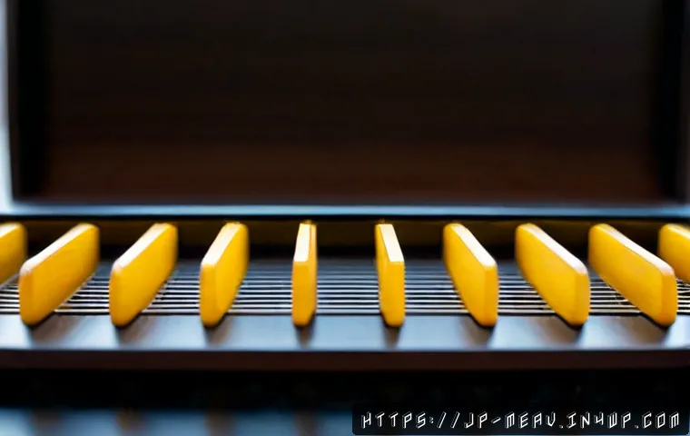 항염증 식단의 기초 이해하기 관련 이미지 2